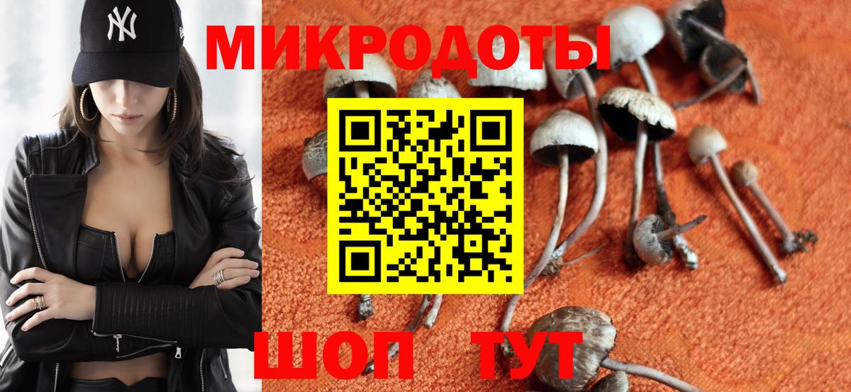 Галлюциногенные грибы MAGIC MUSHROOMS  Псилоцибиновые грибы Psilocybe  Ялта  Вход с VPN 